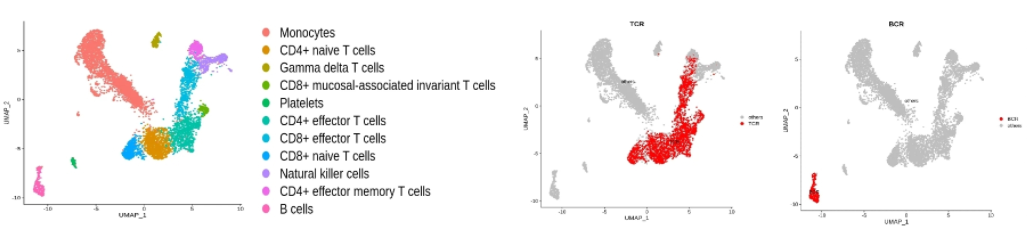 1703226728111248.png image.png