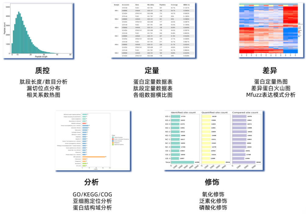 1708325399470199.png LFQ-3.png