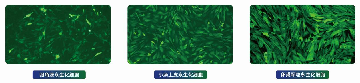 1713247441152726.png 041602.png