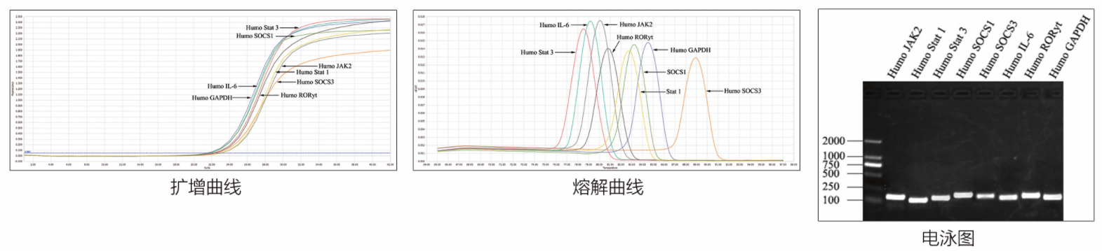 1713250580459000.png image.png