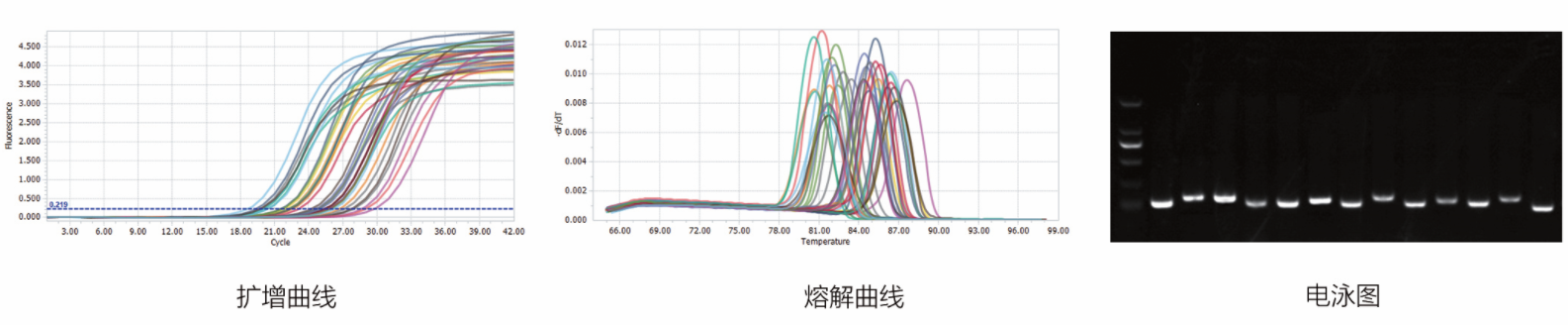 1713250632205838.png image.png