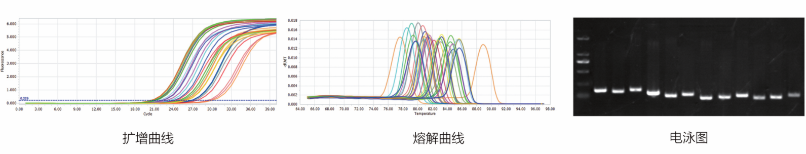 1713250723702882.png image.png