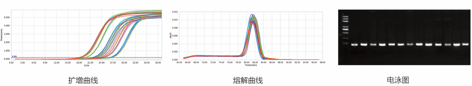 1713250827185099.png image.png