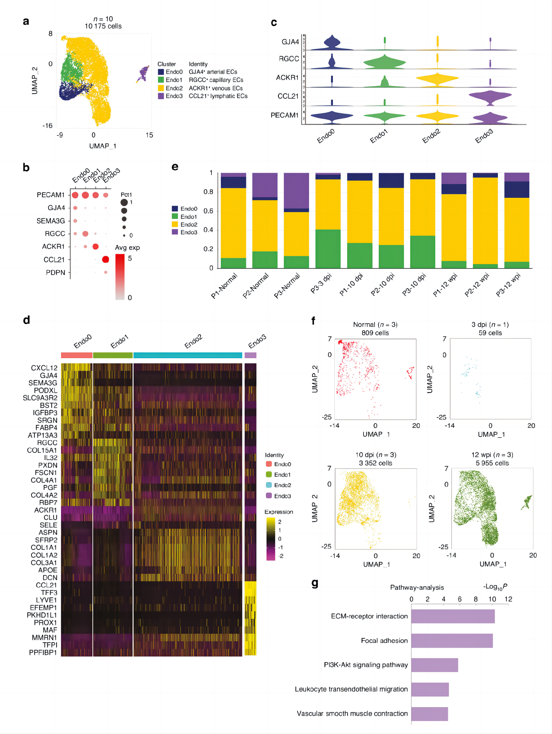 051702.png