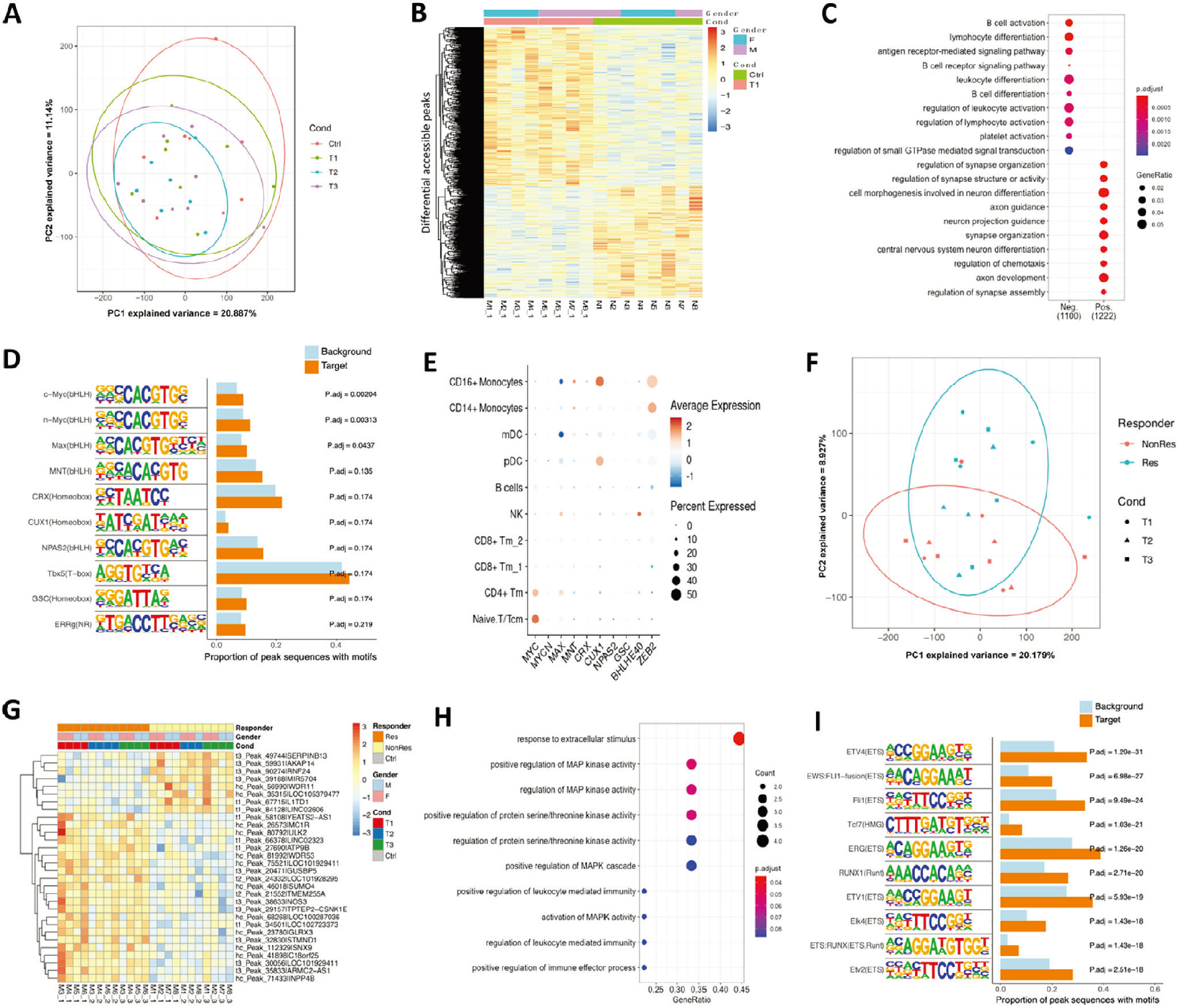 121705.png