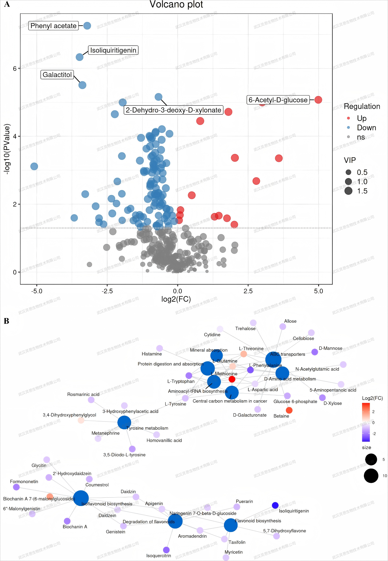 1735713128602780.png 250104.png