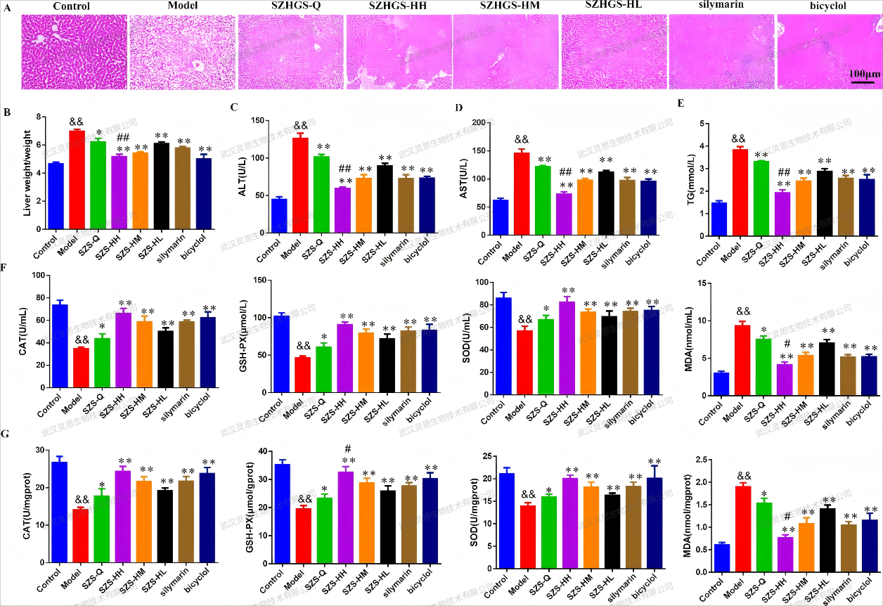 1735713140102430.png 250105.png